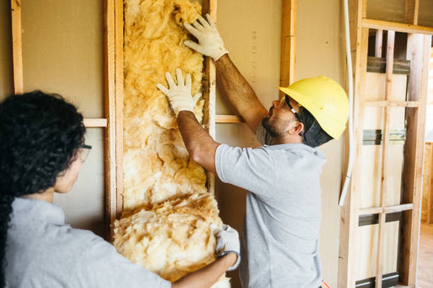 Eco-Friendly or Green Insulation Solutions in Dripping Springs, TX